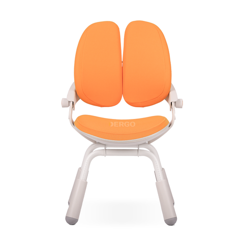  Ghế ngồi học chống gù Hanover C41 