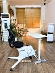 Bàn làm việc di động điều chỉnh độ cao Flexispot H7