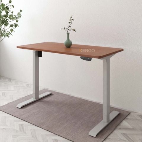  Bàn làm việc điều chỉnh độ cao FlexiSpot ET114(2 Stages) 