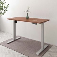 Bàn làm việc điều chỉnh độ cao FlexiSpot ET114(2 Stages)