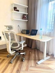 Bàn làm việc nâng hạ độ cao cao cấp FlexiSpot Q7