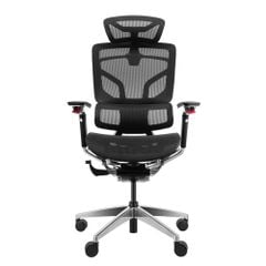 Ghế Công Thái Học Ergonomic GTChair Alien