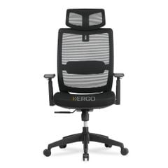 Ghế Công Thái Học Ergonomic Elegant T23