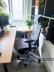 Ghế Công Thái Học Ergonomic ErgoStuhl Fenix 8 Pro (Footrest)