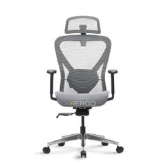 Ghế Công Thái Học Ergonomic ErgoStuhl Q1 Pro (Footrest)