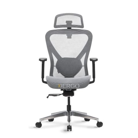  Ghế Công Thái Học Ergonomic Ergostuhl Q1 