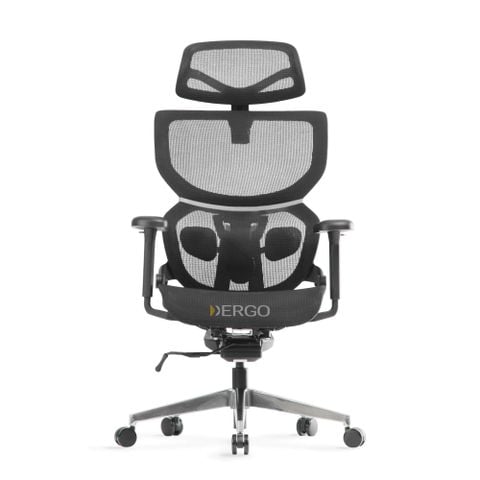  Ghế Công Thái Học Ergonomic ErgoStuhl Q3 