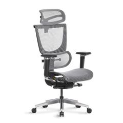 Ghế Công Thái Học Ergonomic ErgoStuhl Fenix 8