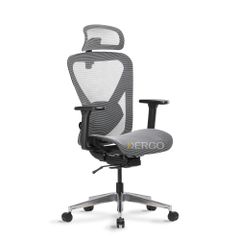Ghế Công Thái Học Ergonomic Ergostuhl Q1