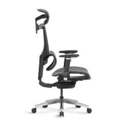 Ghế Công Thái Học Ergonomic ErgoStuhl Fenix 8 Pro