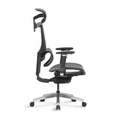 Ghế Công Thái Học Ergonomic ErgoStuhl Fenix 8
