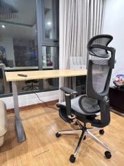 Ghế Công Thái Học Ergonomic ErgoStuhl Fenix 8 Pro