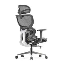 Ghế Công Thái Học Ergonomic ErgoStuhl Q3