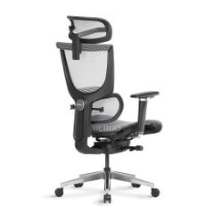 Ghế Công Thái Học Ergonomic ErgoStuhl Fenix 8