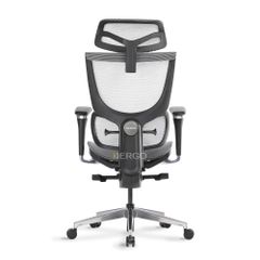 Ghế Công Thái Học Ergonomic ErgoStuhl Fenix 8