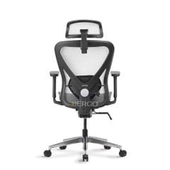 Ghế Công Thái Học Ergonomic Ergostuhl Q1