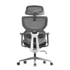 Ghế Công Thái Học Ergonomic ErgoStuhl Q3