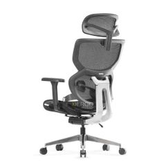Ghế Công Thái Học Ergonomic ErgoStuhl Q3