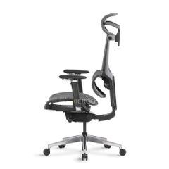 Ghế Công Thái Học Ergonomic ErgoStuhl Fenix 8