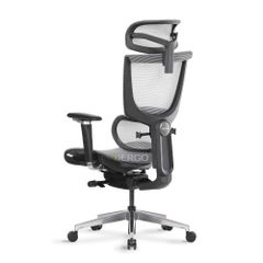 Ghế Công Thái Học Ergonomic ErgoStuhl Fenix 8