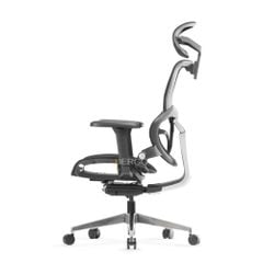 Ghế Công Thái Học Ergonomic ErgoStuhl Q3