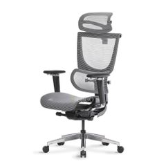 Ghế Công Thái Học Ergonomic ErgoStuhl Fenix 8