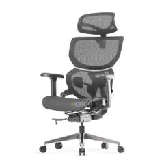 Ghế Công Thái Học Ergonomic ErgoStuhl Q3