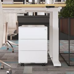 Tủ đựng văn phòng FlexiSpot RC2
