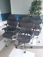 Ghế Công Thái Học Ergonomic ErgoStuhl Q3