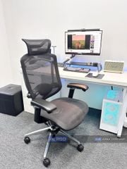 Ghế Công thái học Ergonomic GTChair Marrit X - Bản tay 5D