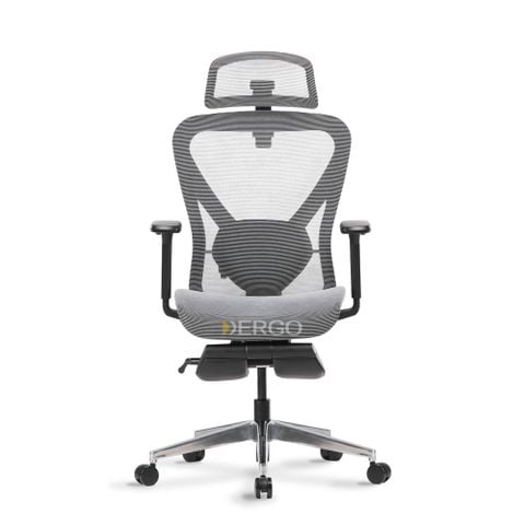  Ghế Công Thái Học Ergonomic ErgoStuhl Q1 Pro (Footrest) 
