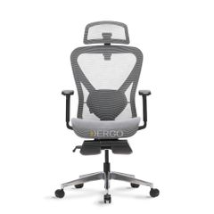 Ghế Công Thái Học Ergonomic ErgoStuhl Q1 Pro (Footrest)