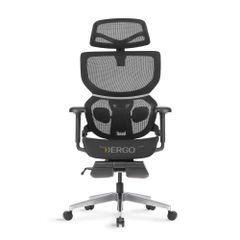 Ghế Công Thái Học Ergonomic ErgoStuhl Q3 Pro (Footrest)