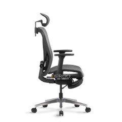 Ghế Công Thái Học Ergonomic ErgoStuhl Q1 Pro (Footrest)
