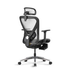 Ghế Công Thái Học Ergonomic ErgoStuhl Q1 Pro (Footrest)