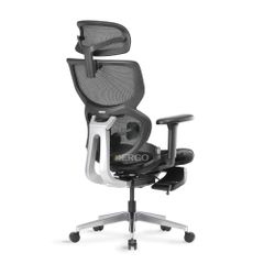 Ghế Công Thái Học Ergonomic ErgoStuhl Q3 Pro (Footrest)