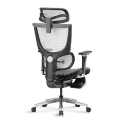 Ghế Công Thái Học Ergonomic ErgoStuhl Fenix 8 Pro (Footrest)