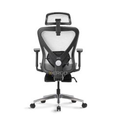 Ghế Công Thái Học Ergonomic ErgoStuhl Q1 Pro (Footrest)