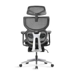 Ghế Công Thái Học Ergonomic ErgoStuhl Q3 Pro (Footrest)