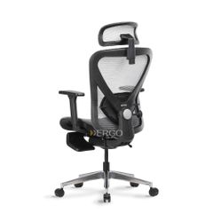 Ghế Công Thái Học Ergonomic ErgoStuhl Q1 Pro (Footrest)