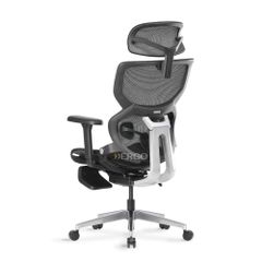 Ghế Công Thái Học Ergonomic ErgoStuhl Q3 Pro (Footrest)