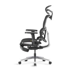 Ghế Công Thái Học Ergonomic ErgoStuhl Q3 Pro (Footrest)