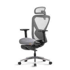 Ghế Công Thái Học Ergonomic ErgoStuhl Q1 Pro (Footrest)