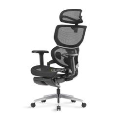 Ghế Công Thái Học Ergonomic ErgoStuhl Q3 Pro (Footrest)