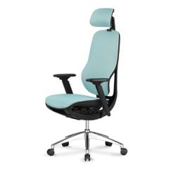Ghế Công Thái Học Ergonomic Amara M06