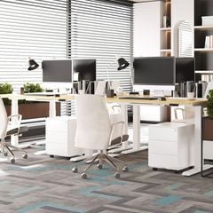 Tủ đựng văn phòng FlexiSpot RC2