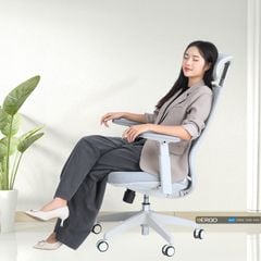 Ghế Công Thái Học Ergonomic Elegant T23