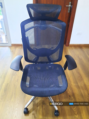 Ghế Công Thái Học Ergonomic GTChair IFIT