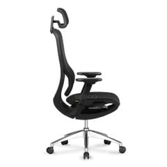 Ghế Công Thái Học Ergonomic Amara M06