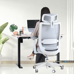 Combo Bàn Ghế Công Thái Học Modern Comfort